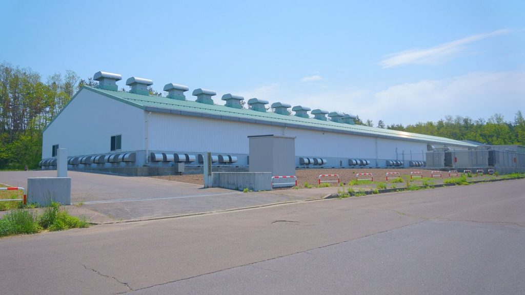 Rows of container-sized battery units at a grid storage facility